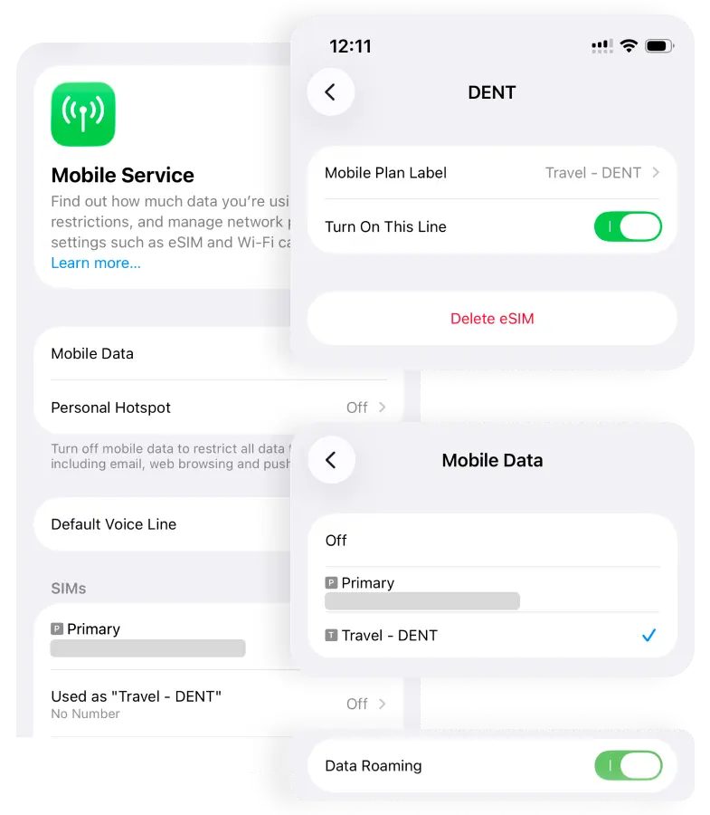 Activate the eSIM and turn on data roaming